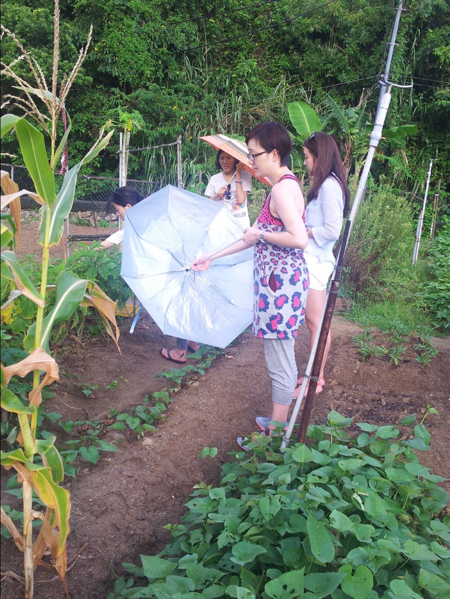 20100715Organic Farm17